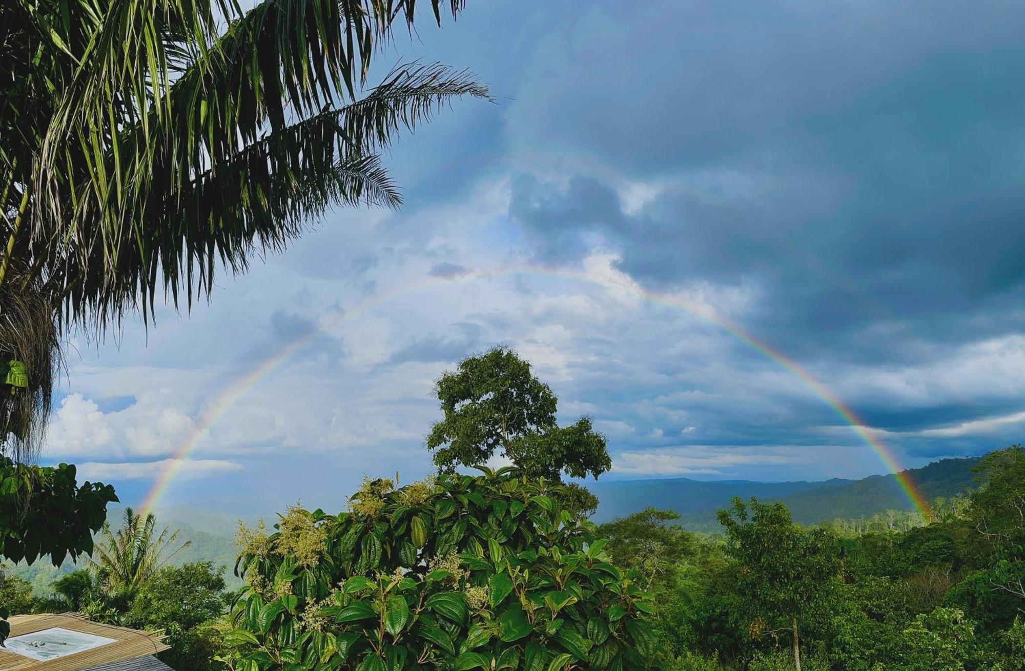 Heimatlos Amazon Lodge 普约 外观 照片