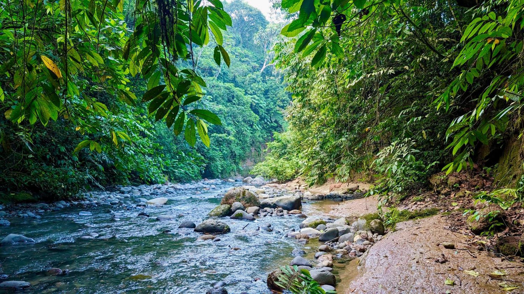 Heimatlos Amazon Lodge 普约 外观 照片