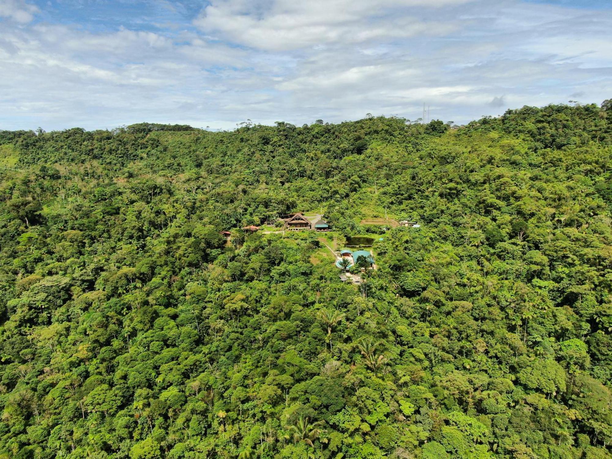 Heimatlos Amazon Lodge 普约 外观 照片